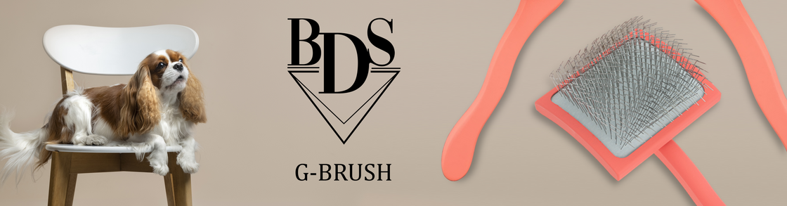 G-BRUSH