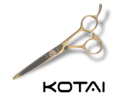 KOTAI Straight 5.5 inch Golden Trophy