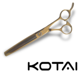 KOTAI Thinner 7 inch Golden Trophy