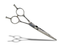 KOTAI SILVERLINE 6 inch STRAIGHT SCISSOR