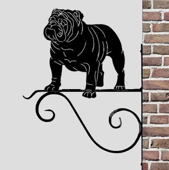 English Bulldog V4 planten muurbeugel