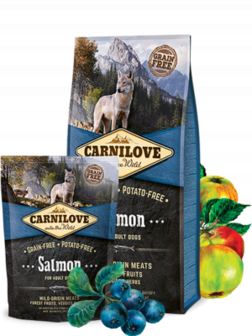 CARNILOVE Salmon adult 12 kg