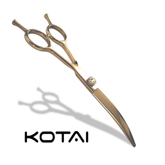 KOTAI Curved 6.5 inch  silver shadow Golden Trophy 