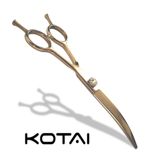 KOTAI Curved 6.5 inch  silver shadow Golden Trophy