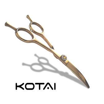 KOTAI Curved 5.5 inch silver shadow Golden Trophy