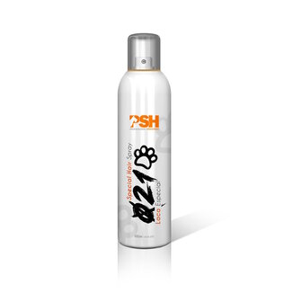 PSH SPECIAL HAIR SPRAY 021  300ml