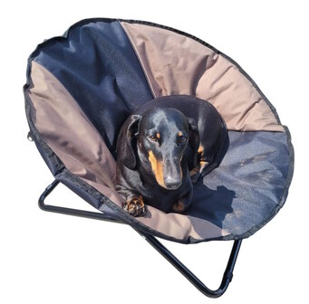 Bellis Dog Chair Duo kleuren creme zwart opvouwbaar met handgreep dia. 65 cm 