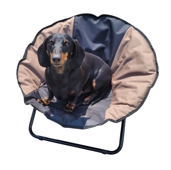Bellis Dog Chair Duo kleuren creme zwart opvouwbaar met handgreep dia. 65 cm 
