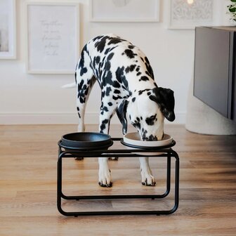 DISTRICT 70 -ROYAL Roestvrijstalen Hondenvoerbak Antraciet large - 1800 ml