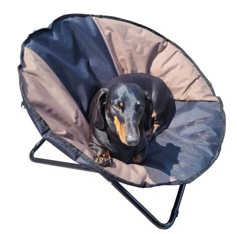 Bellis Dog Chair Duo kleuren creme zwart opvouwbaar met handgreep dia. 65 cm 