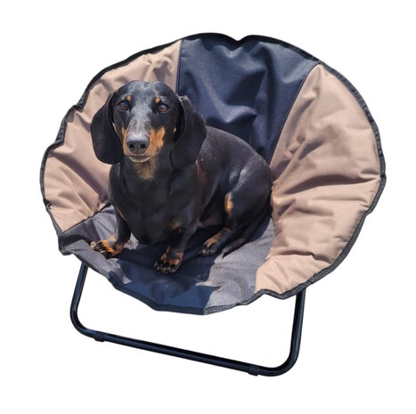 Bellis Dog Chair Duo kleuren creme zwart opvouwbaar met handgreep dia. 65 cm 