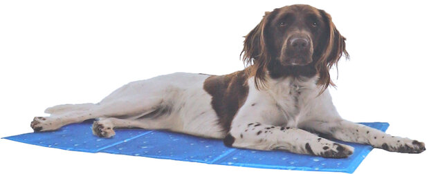 Kowloon Cool mat blauw bubble S, 50×40 cm.
