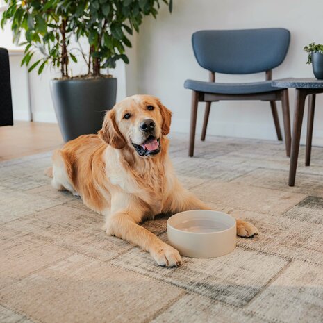 DISTRICT 70 -DUSK - Keramische hondenvoerbak Zwart large dia. 21 cm