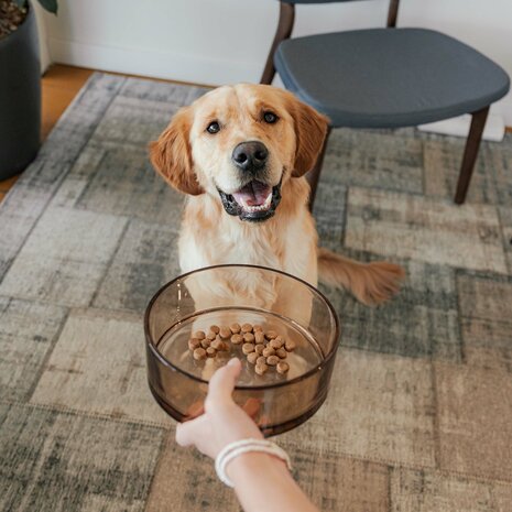 DISTRICT 70 -DAWN - Glazen voerbak voor honden Zwart medium dia. 17 cm