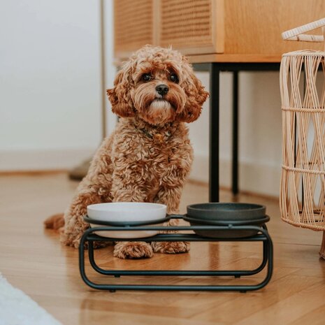 DISTRICT 70 -BUTLER Voerbakstandaard voor honden - Zwart - small-  33,5 x 16 x 12,5 cm