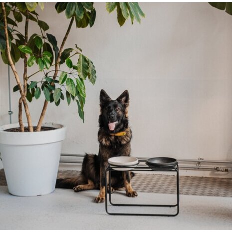 DISTRICT 70 -BUTLER Voerbakstandaard voor honden - Zwart - large - 50,5 x 23 x 36,5 cm